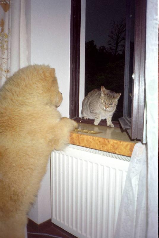 Foto: Silvestr 2006-takhle se chod� dom�?