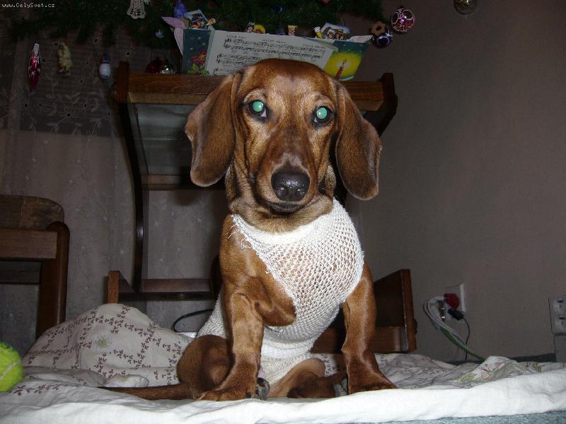 Foto: Tak u� fo�!!!