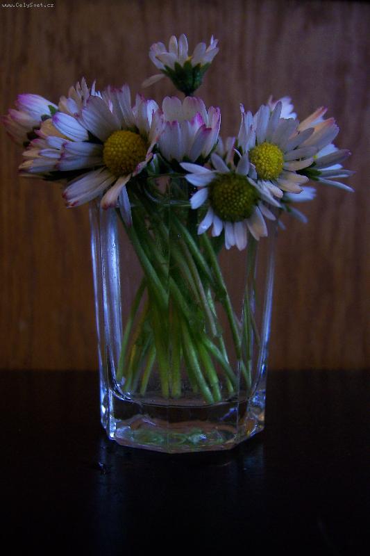 Foto: Pr�v� natrhan�-...tento zp�sob zimy...