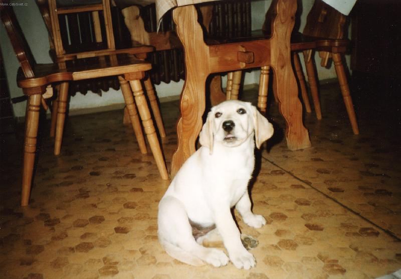 Foto: J� to nebyla, opravdu!-Mo��sek