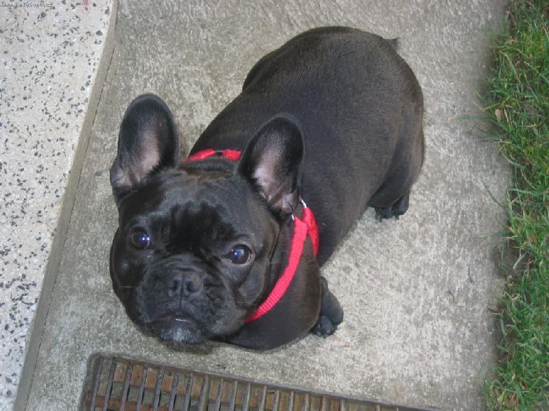 Foto: U� sed�m,tak mi dej n�jakou m�amku!-B�ra-rok a 11 m�s�c�