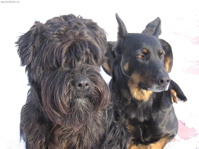 Foto: skoro jako svatebn� foto