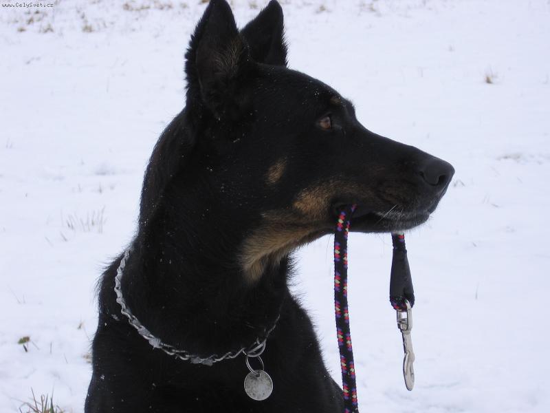 Foto: tak kdo jde se mnou?