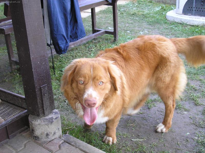 Foto: No to teda �um�m!-Co to ten �lov�k dr�� v ruce?