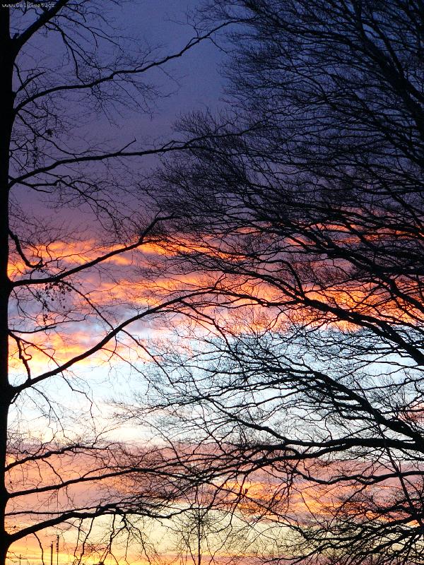 Foto: Den zhas�n�-v Nov�m M�st� pod Smrkem