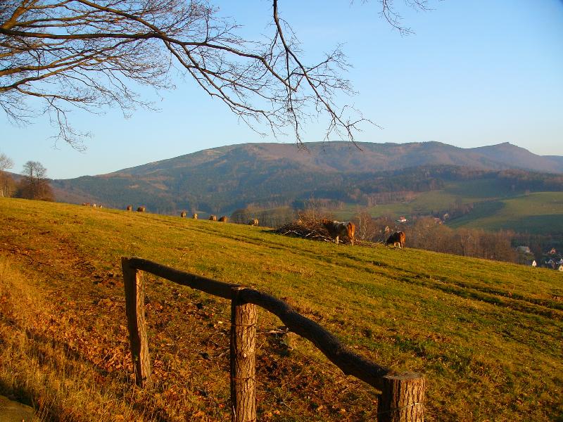 Foto: Ve�ern� pastva v podh��� Smrku