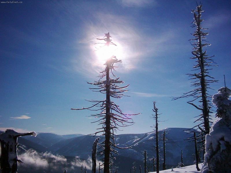 Foto: DLOUH� STR�N�-Z �ERVENOHORSK�HO SEDLA