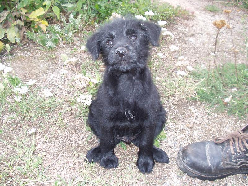 Foto: hl�da�-vemte si tu botu,nebo to tu nevydr��m