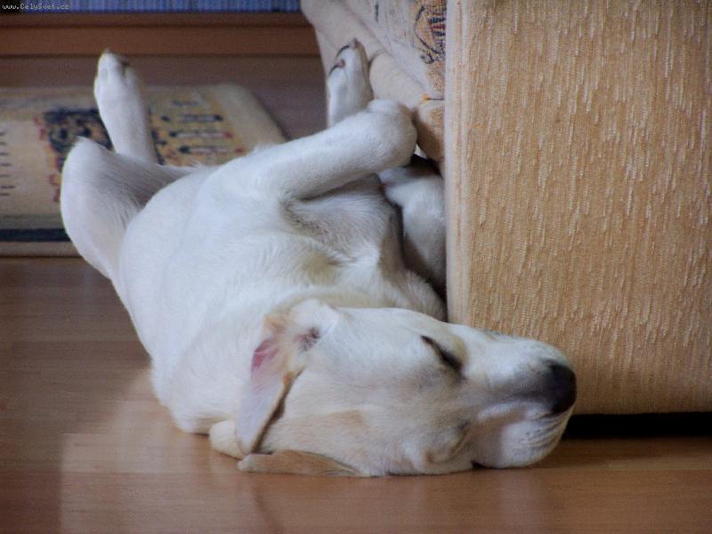 Foto: Brenda-Neru�it! Sp�m!