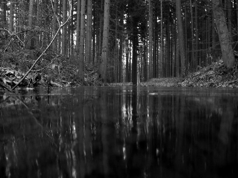 Foto: Val�ovick� jez�rko-Prvn� mraz�ky p�i proch�zce...