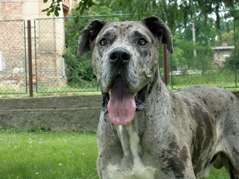 Foto: Nufl�k-2 roky