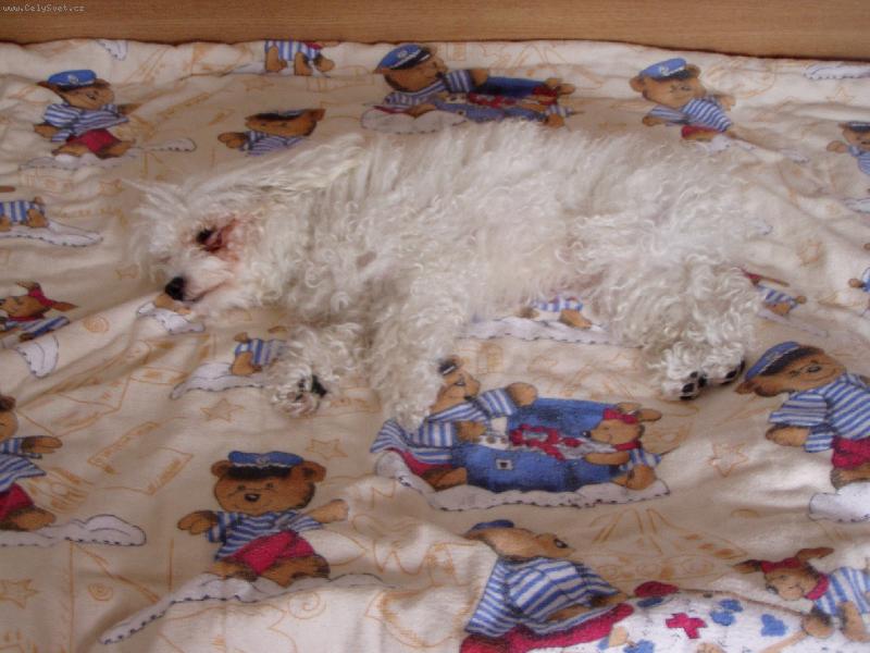 Foto: spink�m na l��ku