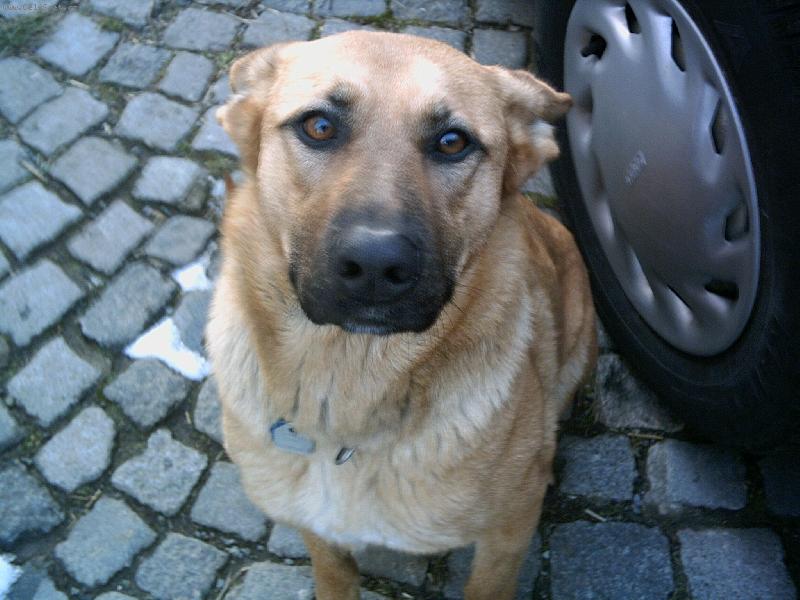 Foto: Sarah Zlat� srdce-to je na�e miminko