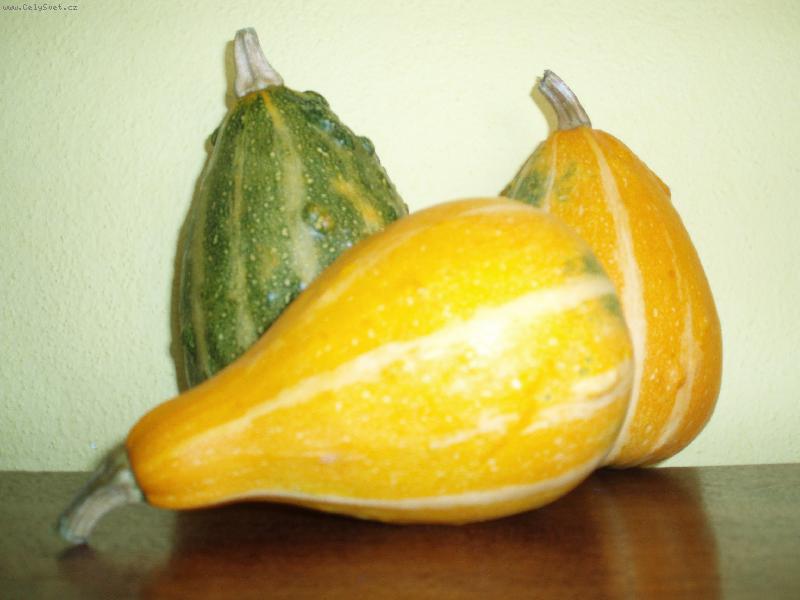 Foto: kr�sa-okrasn� d�n�