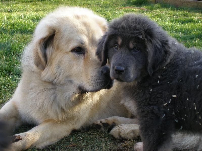 Foto: Apou�ek a Celine-To m�m kr�snou dceru �e??