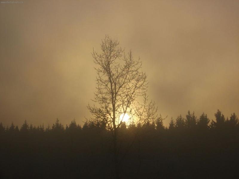 Foto: mlha na Vyso�in�