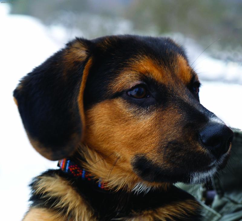 Foto: M�j mil��ek