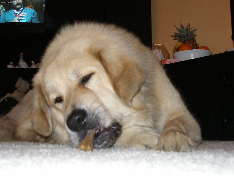 Foto: M�am:)-Apou�ek