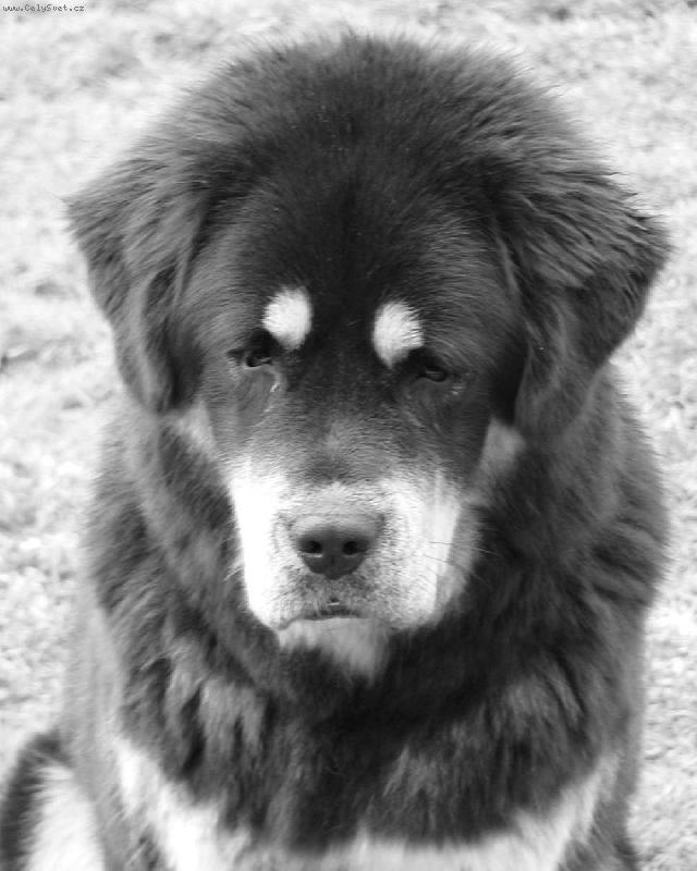 Foto: ...j� to nebyla