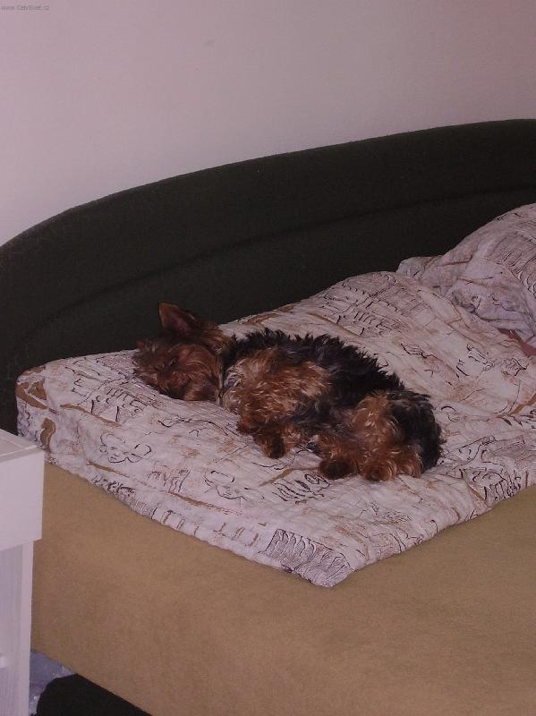 Foto: To je havaj!-Takhle sp� nejrad�i