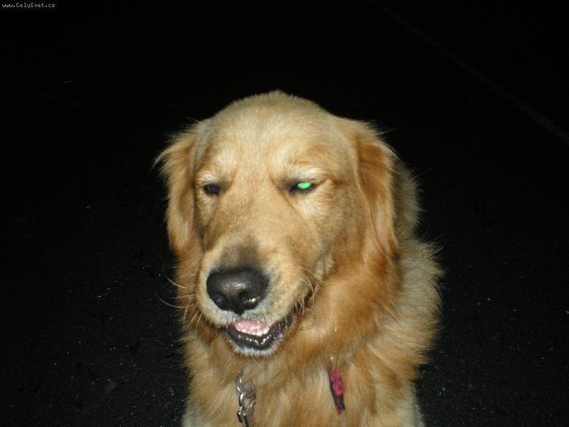 Foto: Max-tak honem fotce dokud se sm�ju:-))