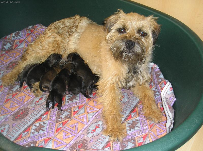 Foto: Py�n� maminka Julinka