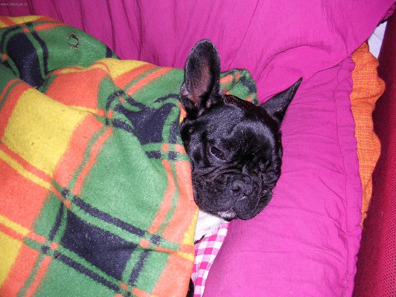 Foto: sladk� m�men�-Fanda si slastn�