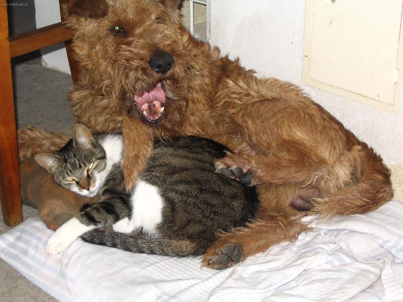 Foto: badour-neru�it pros�m!!!!!