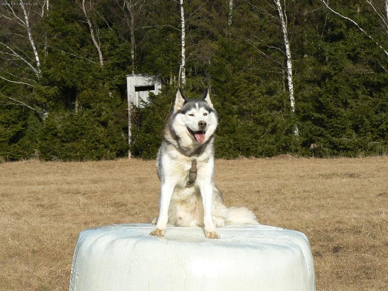 Foto: Takhle zhora v�s vidim l�pe