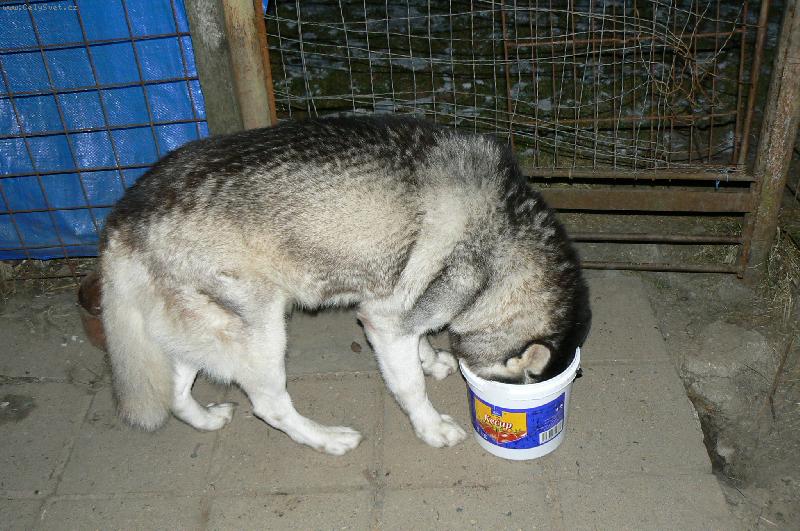 Foto: Je tam je�t� n�co?