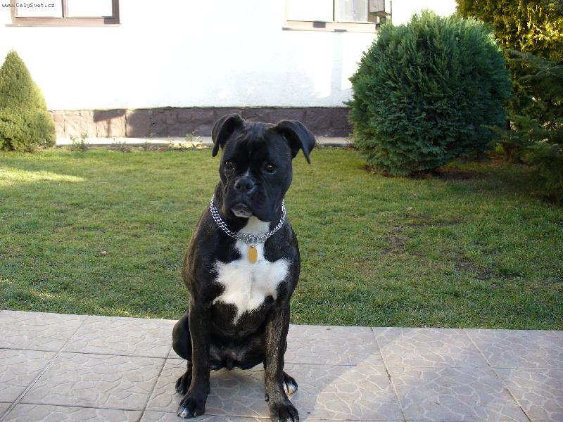 Foto: nellinka-r�da se fot�m