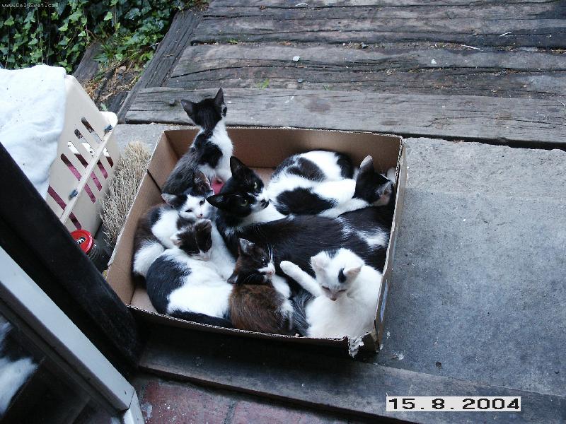 Foto: Kolik d�t� a kolik matek?