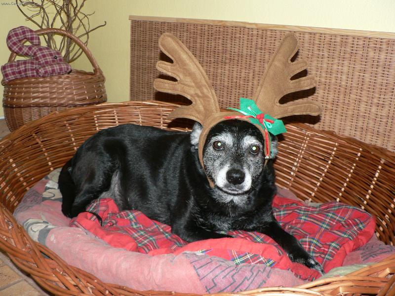 Foto: Nelinka-to mi to slu��