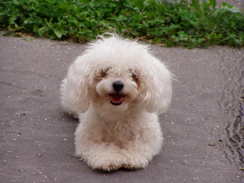 Foto: m�j obli�ej