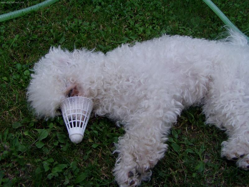 Foto: m�m hezk� �um��ek-Jessinka a jej� n�dhern� n�hradn� nos