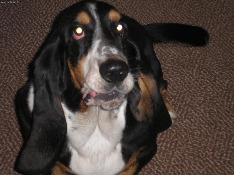 Foto: N� Mont��ek-to je jeden z m�la momentu kdy nesp�:D