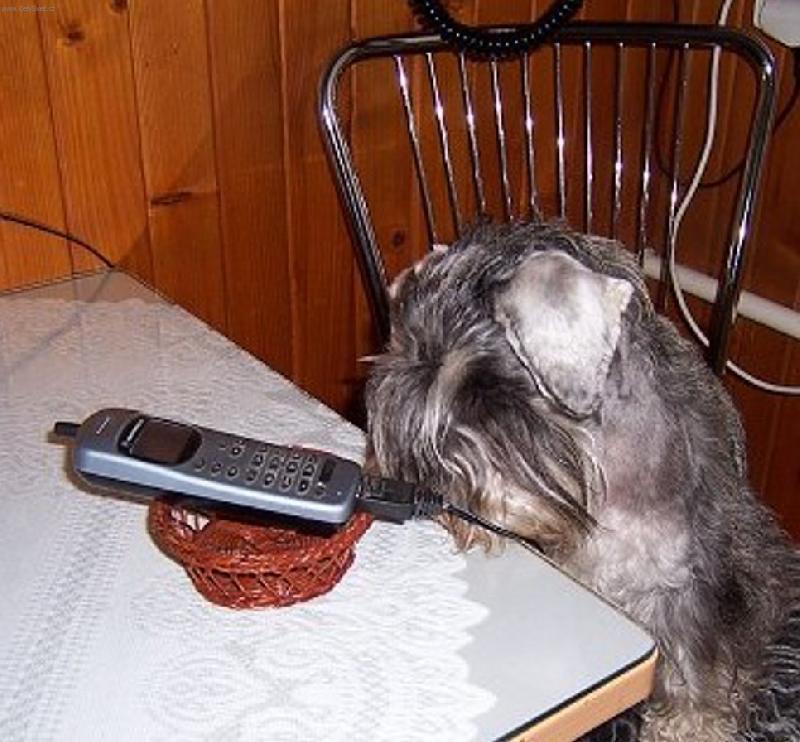 Foto: Flavie-�e bych si zkusila taky zatelefonovat?