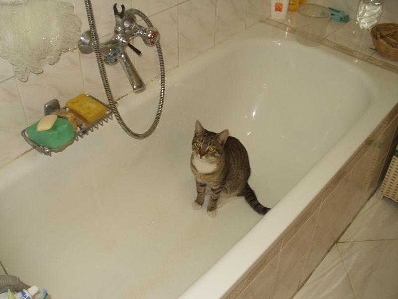 Foto: MOUREK- UMYJ M�