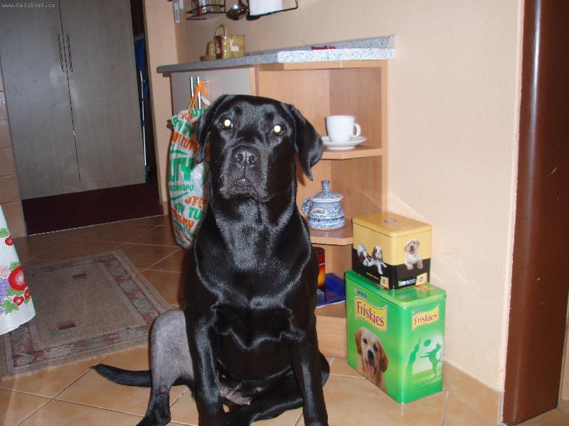 Foto: Eli�ka �ek� na j�dlo-Eli�ka �ek� na j�dlo