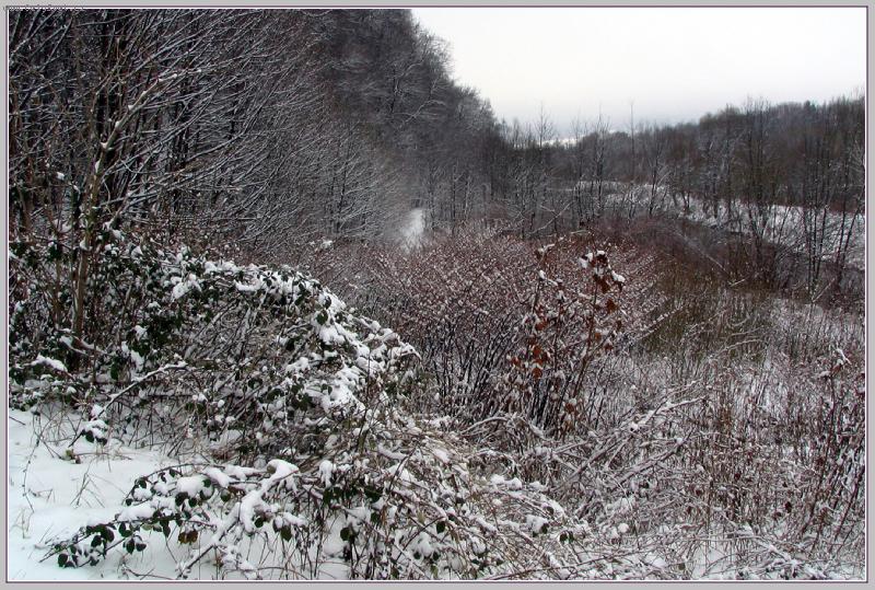 Foto: Zimn� krajka-Prvn� sn�h na b�ez�ch �eky Mor�vky v Beskyd�ch