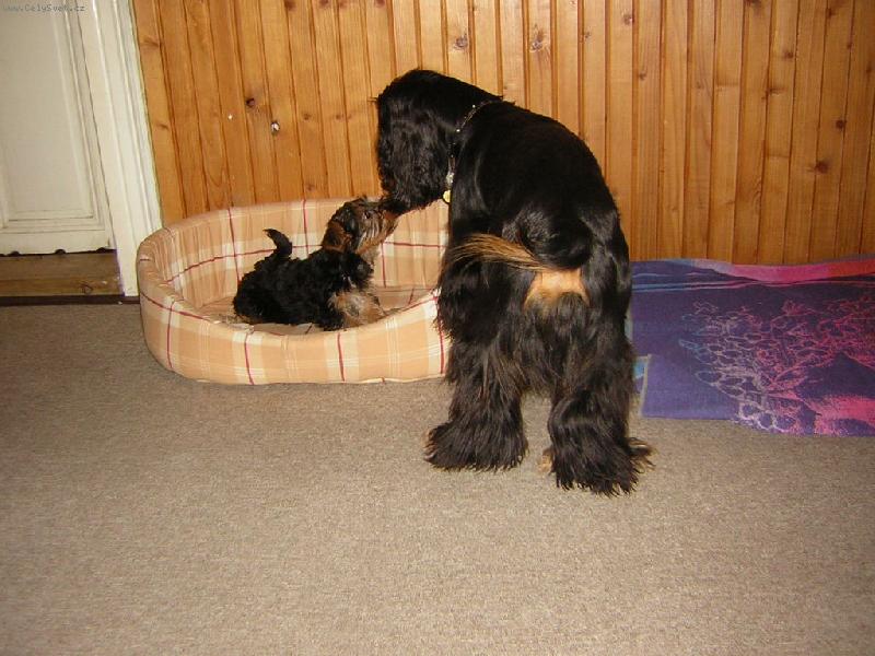 Foto: Mal� princezna a kr�sn� princ-L�ska