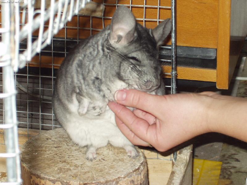 Foto: Montynka-To je podrb�n��ko!