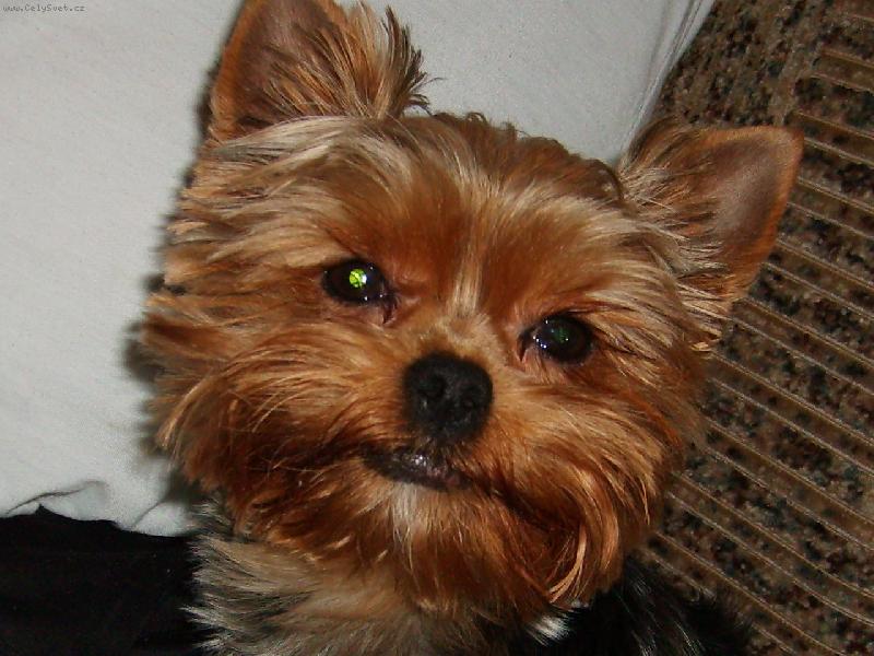 Foto: to jsem ja AJA-jsem ale frajerka co?