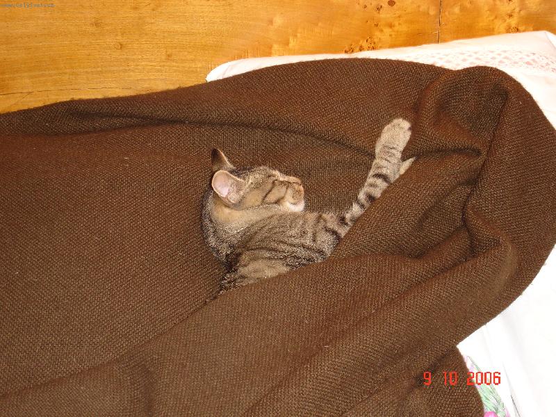 Foto: kdyz se schovam tak me nenajdou