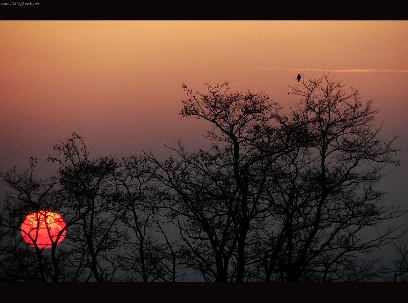 Foto: Soumra�n� lovec-Za takov�m pohledem se ani do Afriky nemus�