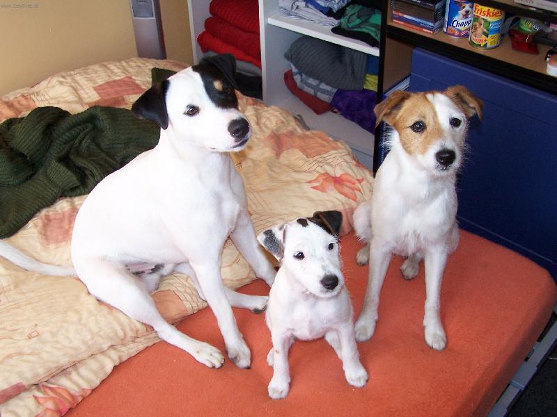 Foto: Rodinn� foto.