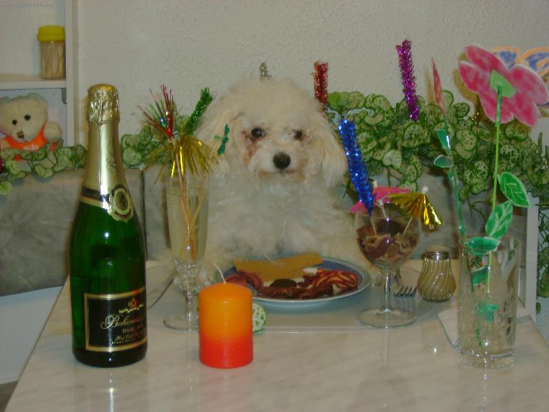 Foto: u� si nab�z�m-m�m hlad