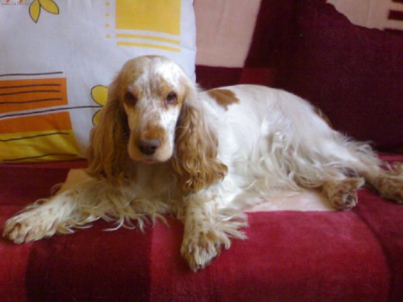 Foto: Sarinka-To je pohoda....