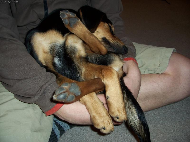 Foto: uzl��ek kopov-kde je co....