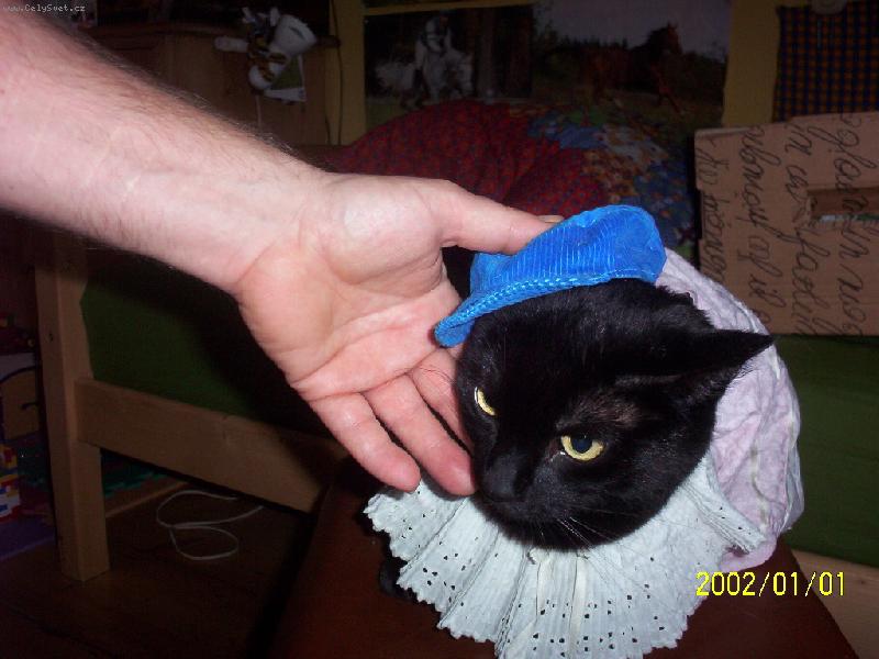 Foto: �epi�ka a kocourek-Mike�ek se tv��� jako satan proto�e dostal �epi�ku! =o)